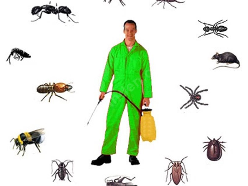 Kilimli Böcek İlaçlama